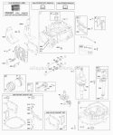 Camshaft Crankshaft Cylinder Engine Sump Lubrication Piston Group Valves Diagram and Parts List for 126L02-0132-F1  Briggs and Stratton Engine
